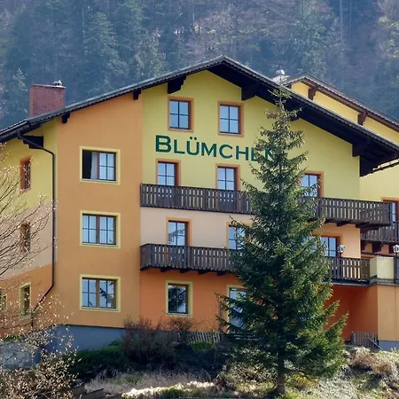Blumchen فندق